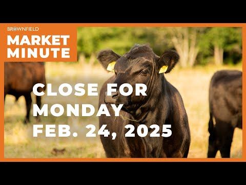 Cattle started the week higher | Closing Market Minute cover art