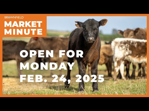 Cattle are up Monday morning | Opening Market Minute