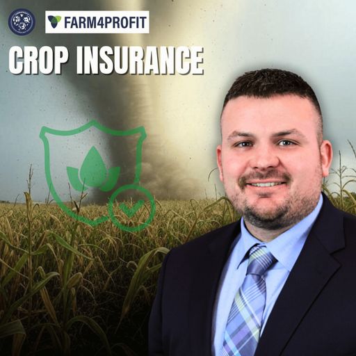 Making Smart Crop Insurance Decisions for 2025 cover art