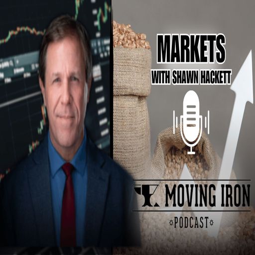 The Looming Energy Crisis: Natural Gas Demand: MIP Markets with Shawn Hackett cover art