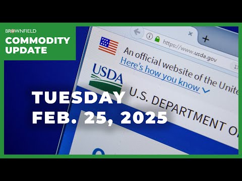 Friday USDA report to set tone for 2025 crop year | Weekly Commodity Market Update