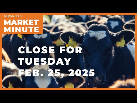 Cattle were higher Tuesday | Closing Market Minute