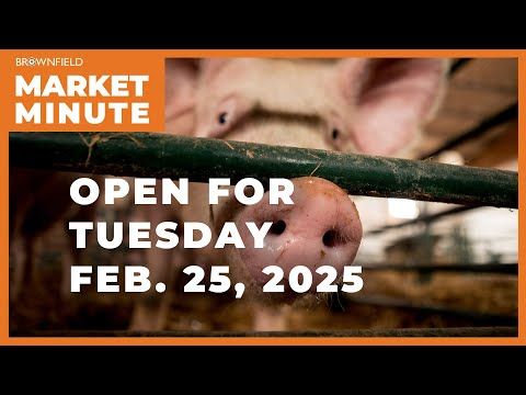 Hogs are down Tuesday morning | Opening Market Minute cover art