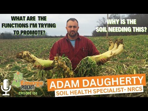AgEmerge Podcast 150 with Adam Daugherty #podcast #regenerativeag #conservation #farming cover art