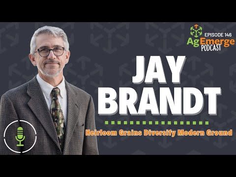 AgEmerge Podcast 146 with Jay Brandt cover art