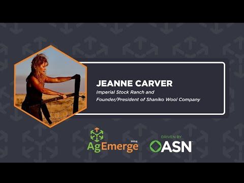 AgEmerge Podcast 134 with Jeanne Carver Shaniko Wool Company cover art