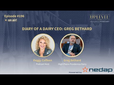196 | Diary of a Dairy CEO: Greg Bethard cover art
