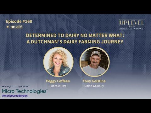 168 | Determined to Dairy No Matter What: A Dutchman’s Dairy Farming Journey with Tony Golstine cover art