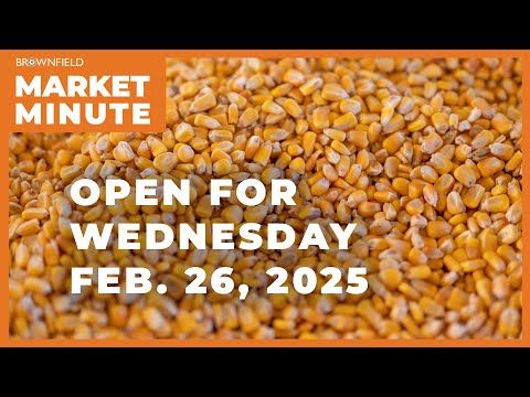 Corn is up Wednesday morning | Opening Market Minute cover art
