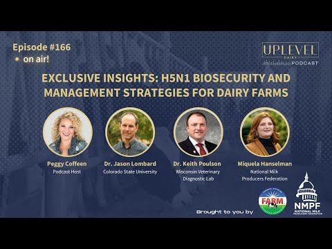 166 | Exclusive Insights: H5N1 Biosecurity and Management Strategies for Dairy Farms cover art