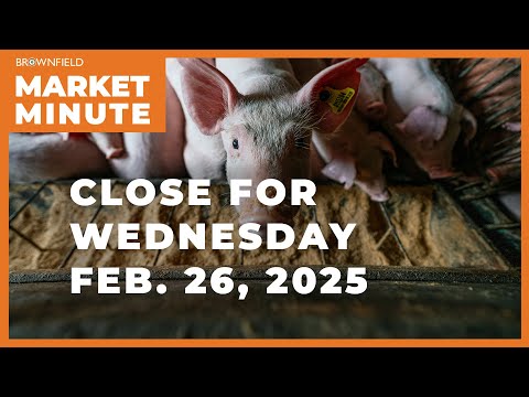 Hogs were higher Thursday | Closing Market Minute