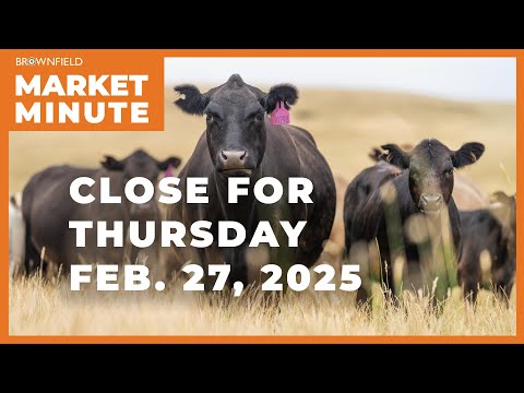 Cattle were up sharply Thursday | Closing Market Minute