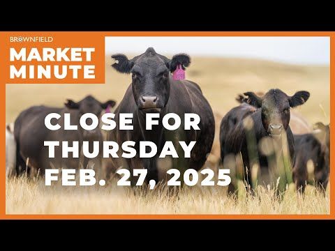 Market Minute cover art
