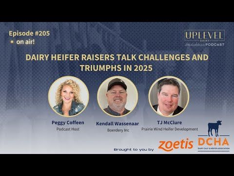 UpLevel Dairy Podcast cover art
