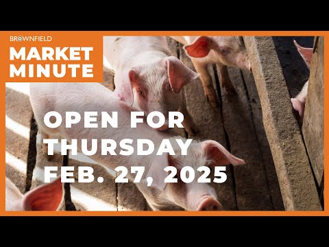 Hogs are lower Thursday morning | Opening Market Minute