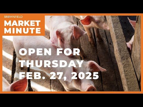 Hogs are lower Thursday morning | Opening Market Minute cover art