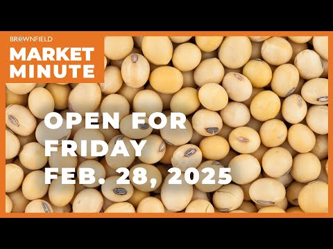 Soybeans opened higher Friday | Opening Market Minute