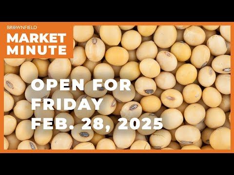 Soybeans opened higher Friday | Opening Market Minute cover art