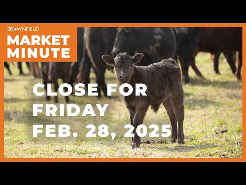 Cattle fell sharply Friday | Closing Market Minute