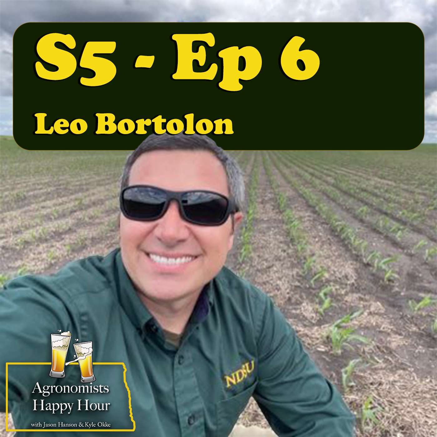 Leo Bortolon cover art