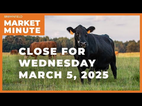 Cattle closed higher Wednesday | Closing Market Minute