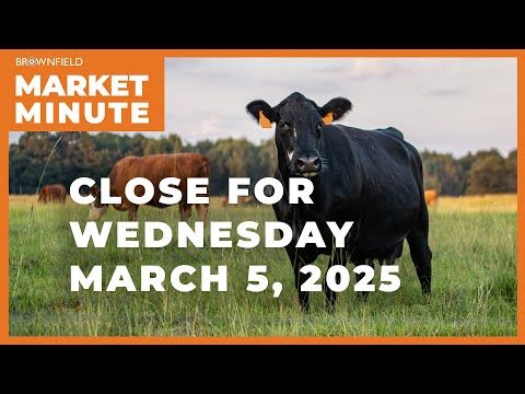 Cattle closed higher Wednesday | Closing Market Minute cover art