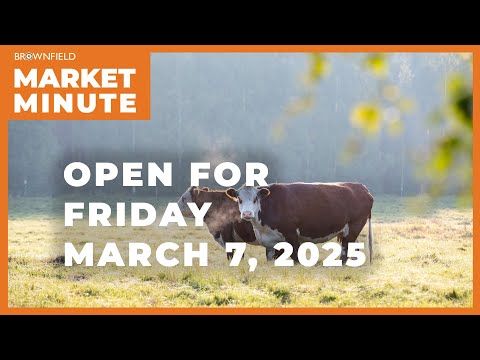 Cattle are up Friday morning | Opening Market Minute cover art