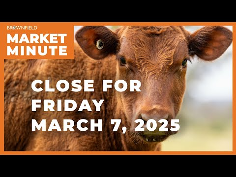Cattle futures had big gains Friday | Closing Market Minute