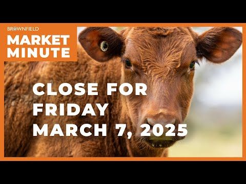 Cattle futures had big gains Friday | Closing Market Minute cover art