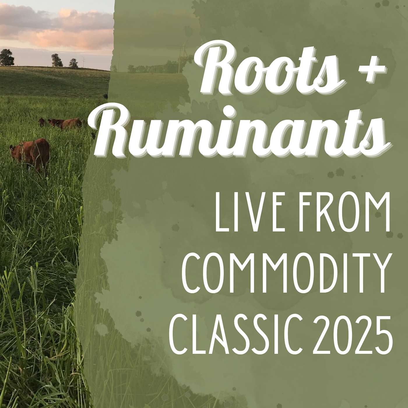 Live from Commodity Classic 2025 cover art