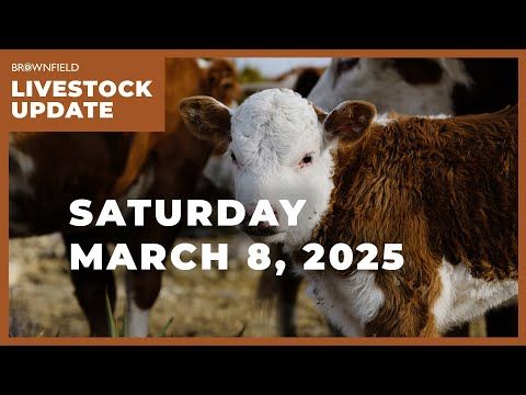 April live cattle gain $7.70 this week | Weekly Livestock Market Update cover art