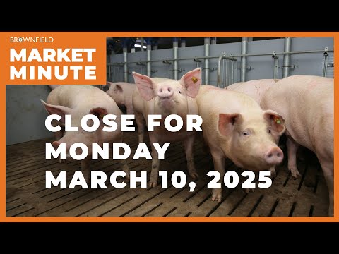 Hogs were higher Monday | Closing Market Minute