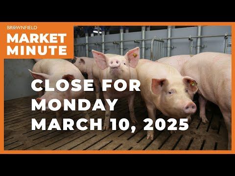 Hogs were higher Monday | Closing Market Minute cover art