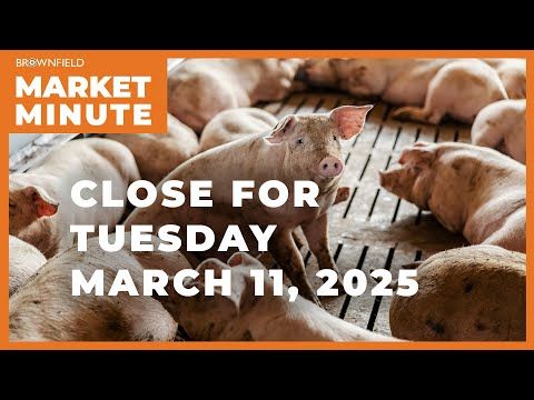 Hogs were mixed Tuesday | Closing Market Minute cover art