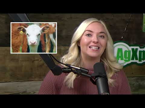 November 1, 2024: How the Election May Impact Agriculture, and More Top Ag Headlines