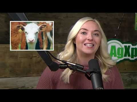 November 1, 2024: How the Election May Impact Agriculture, and More Top Ag Headlines cover art