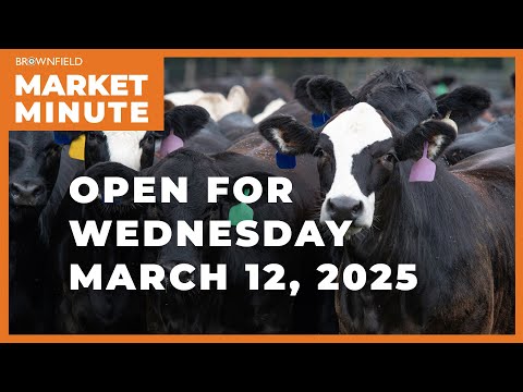 Cattle are higher Wednesday morning | Opening Market Minute