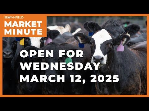Cattle are higher Wednesday morning | Opening Market Minute cover art