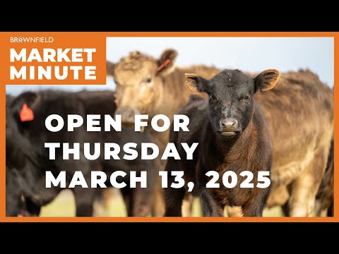 Cattle futures are extending their gains | Opening Market Minute