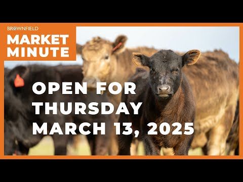 Cattle futures are extending their gains | Opening Market Minute cover art