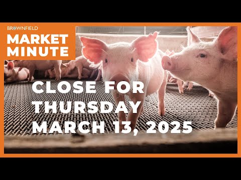 Hogs were lower Thursday | Closing Market Minute