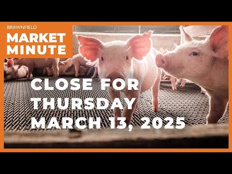 Hogs were lower Thursday | Closing Market Minute cover art