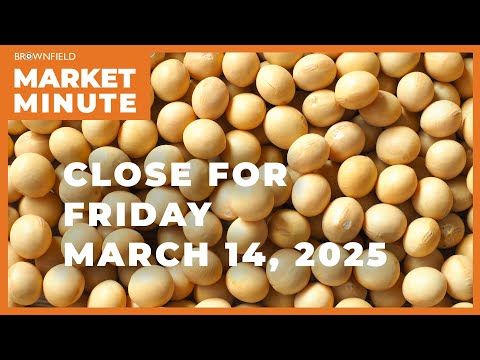 Soybeans were up modestly Friday | Closing Market Minute cover art