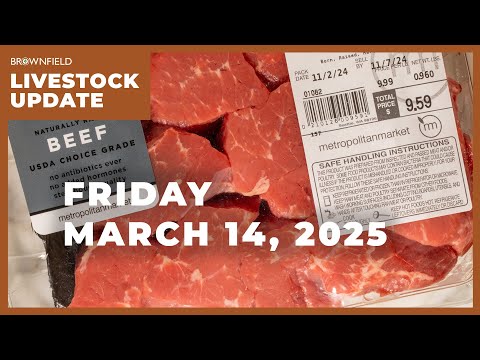 Beef retail price continues to rise | Weekly Livestock Market Update