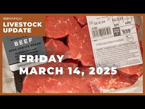 Beef retail price continues to rise | Weekly Livestock Market Update cover art