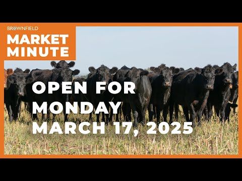 Cattle are up Monday morning | Opening Market Minute cover art