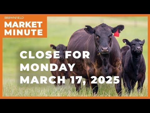 Cattle futures closed sharply higher Monday | Closing Market Minute cover art