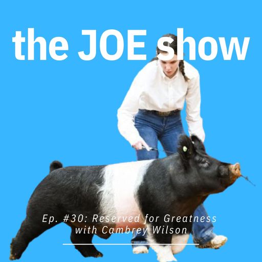 Episode 30: Reserved for Greatness with Cambrey Wilson cover art