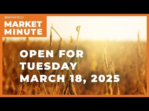 Soybeans are firm Tuesday morning | Opening Market Minute cover art