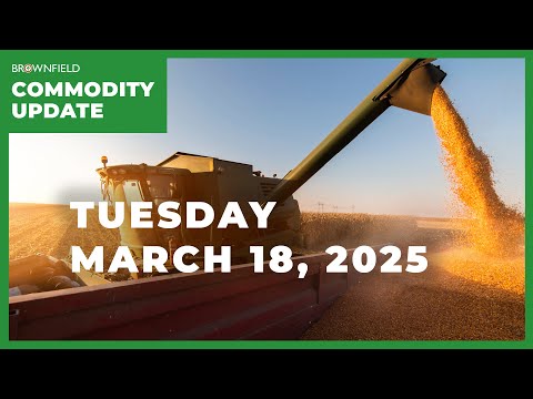USDA makes few changes in March supply and demand report | Weekly Commodity Market Update